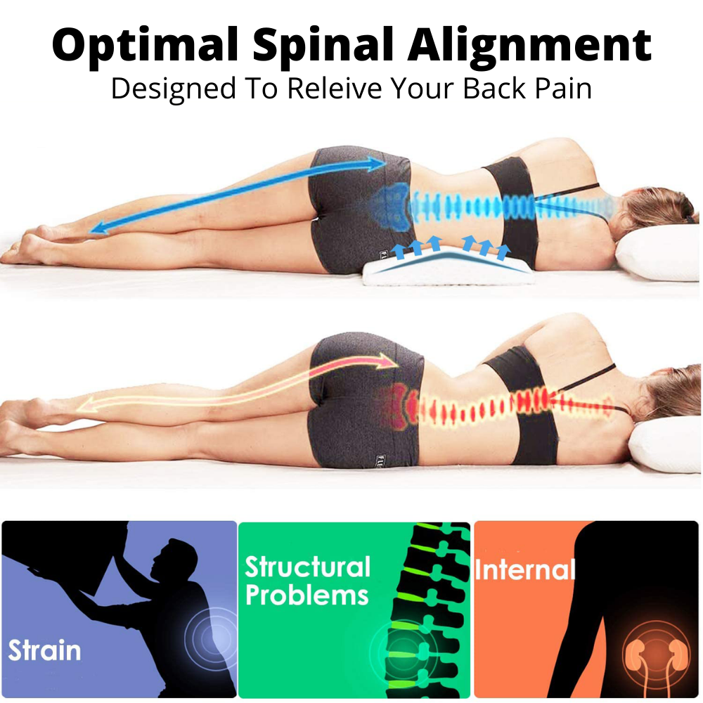 ComfySpine®